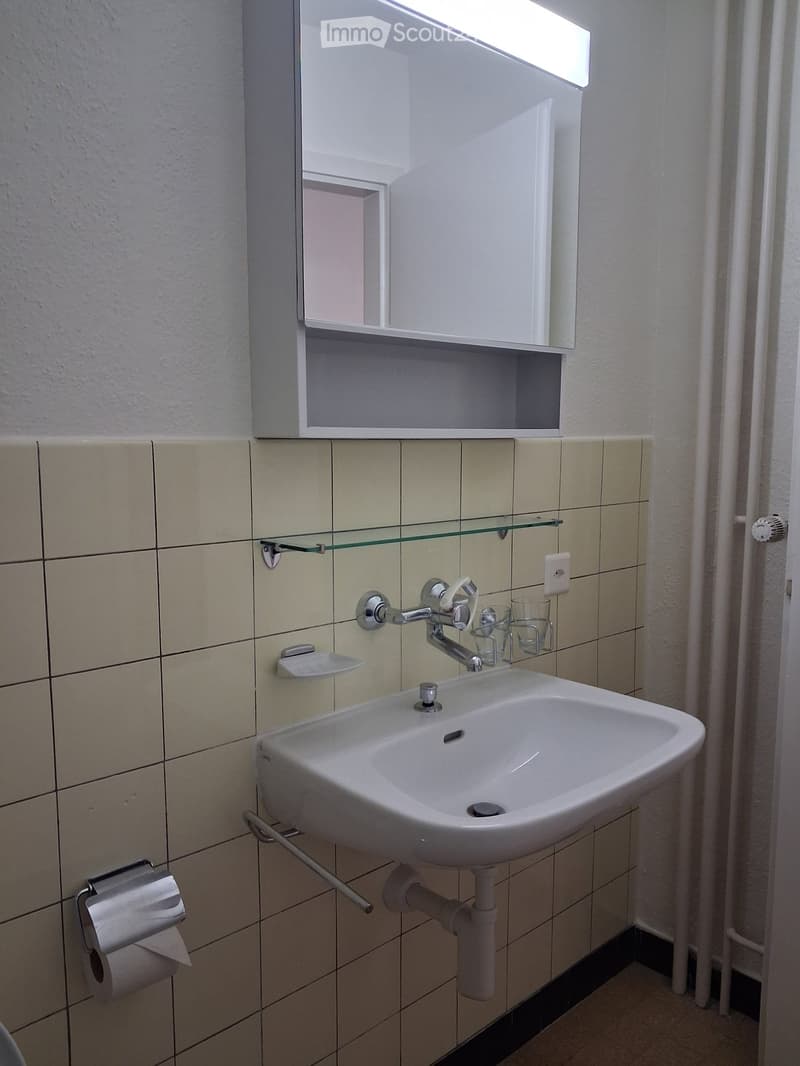 A modern bathroom with a white sink, chrome faucet, mirror cabinet, glass shelf, and toilet paper holder.