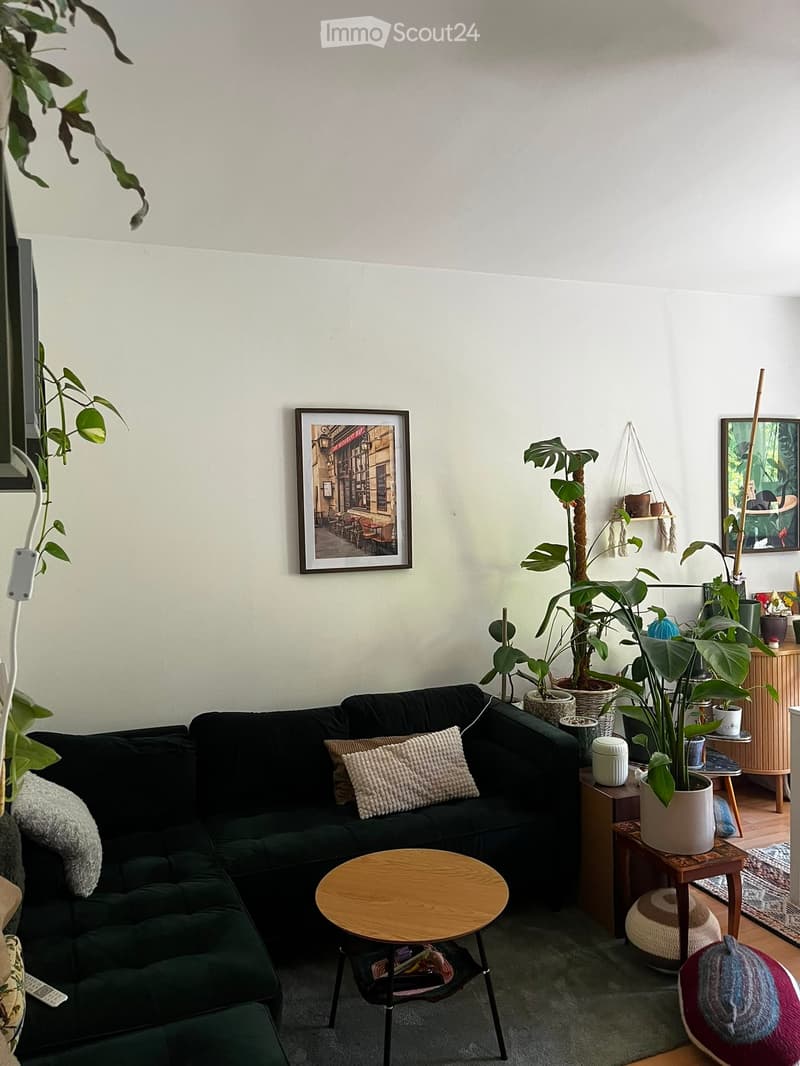 A modern living room with a dark green sofa, wooden coffee table, potted plants, and decorative items.