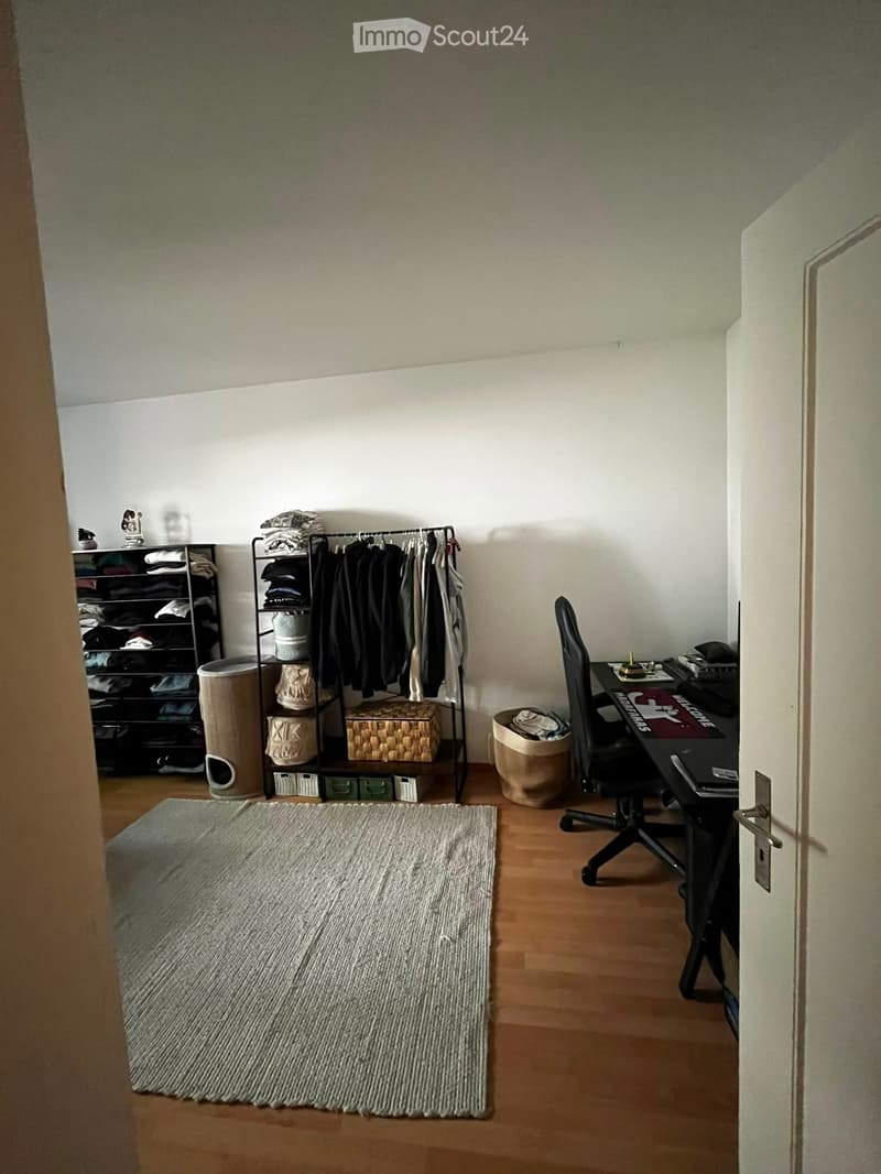 A small, furnished room with a wooden floor, a grey rug, a black clothing rack, a cat tree, a desk with a chair, and a shelf with folded clothes and storage boxes.