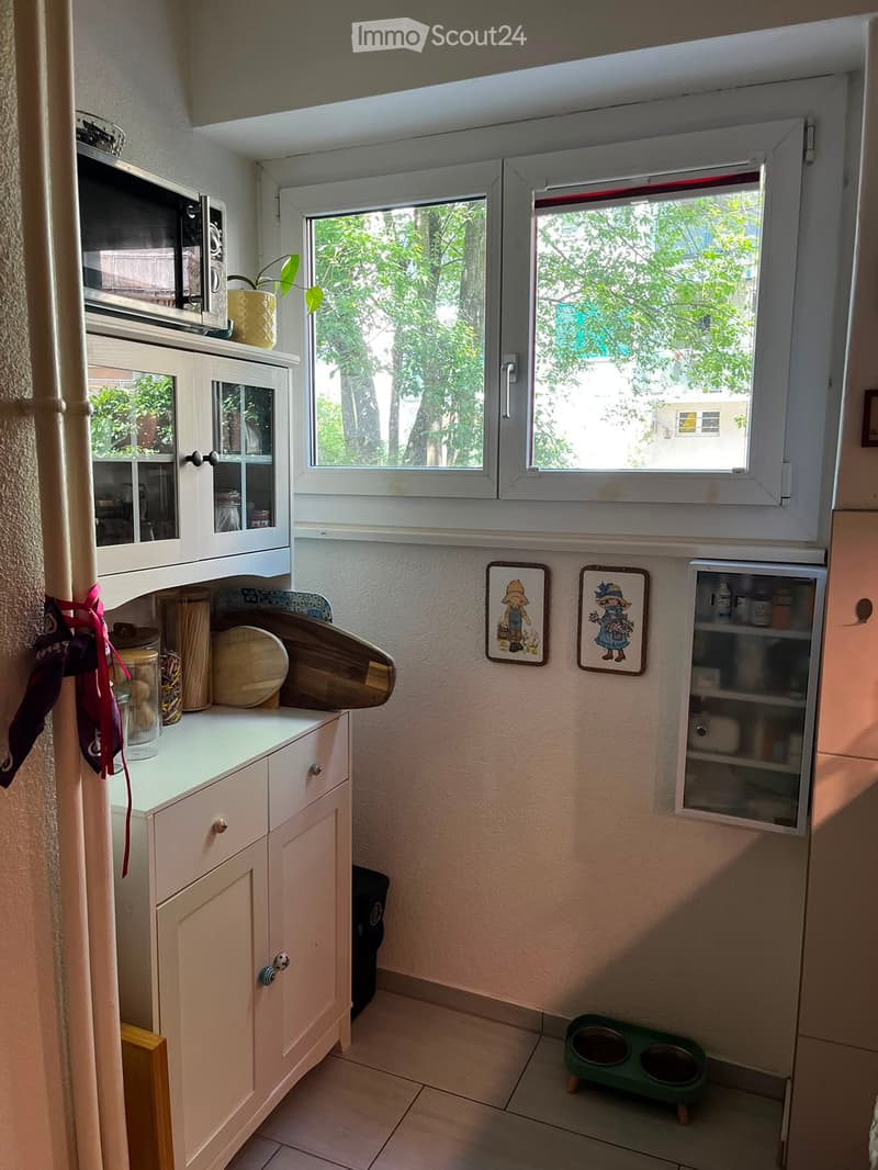 The kitchen features light-colored cabinets, a window with white frames, and various items on the counter including a bowl, a framed picture, and a small green pet bowl stand.