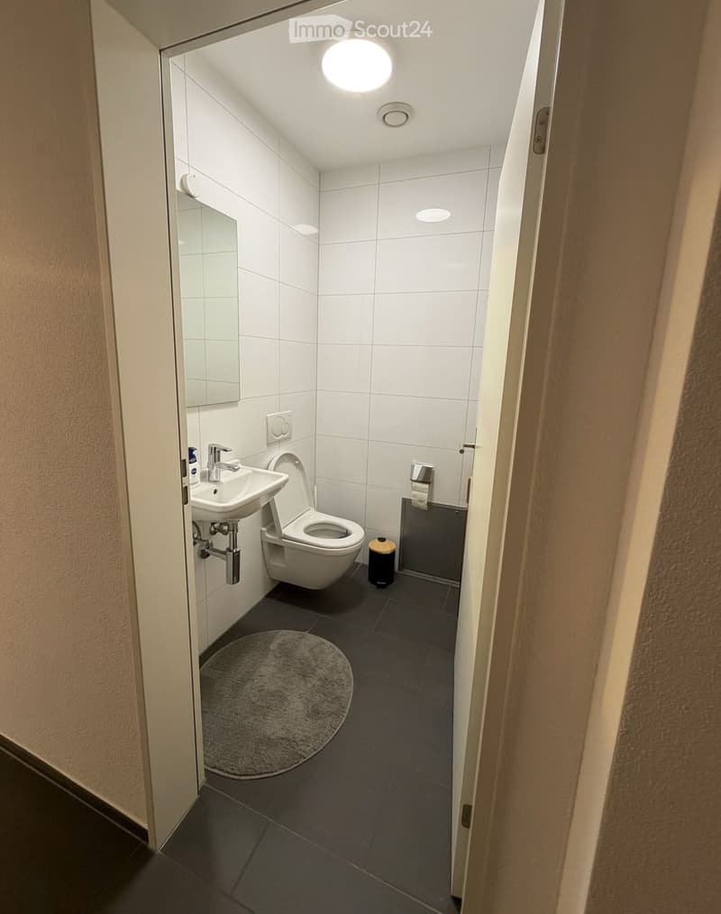 Modern bathroom with white tiled walls, dark tiled floor, sink, toilet, mirror, toilet paper holder, and a small round rug.