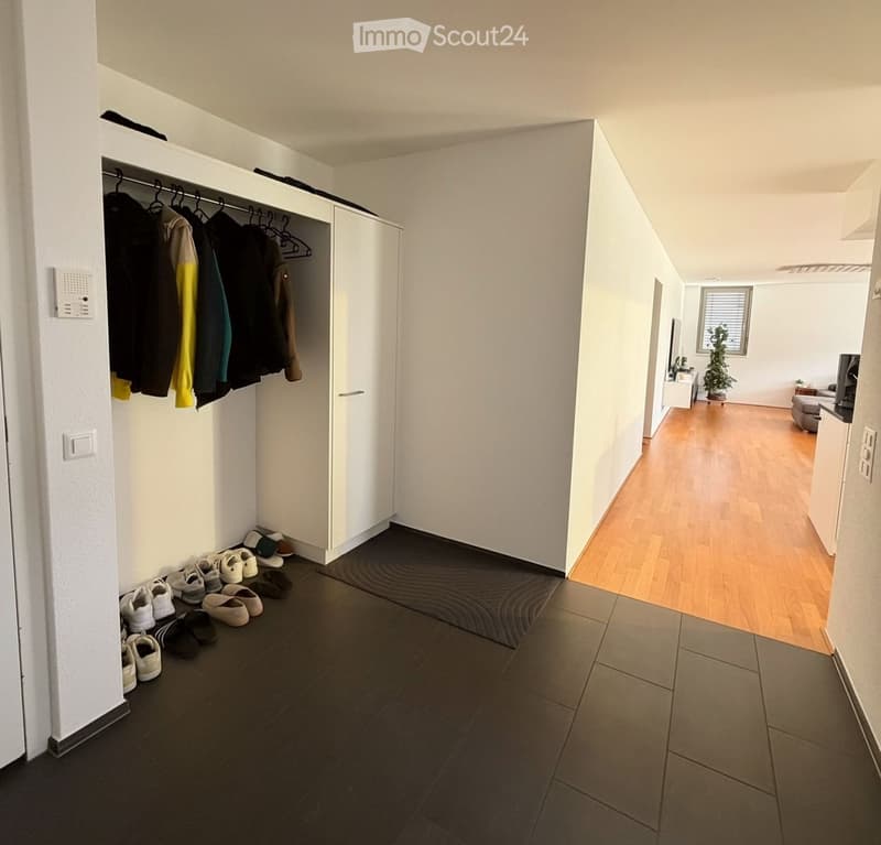 A modern hallway with a built-in closet, shoes neatly arranged on the floor, and a view into a living area with wooden flooring and furniture.