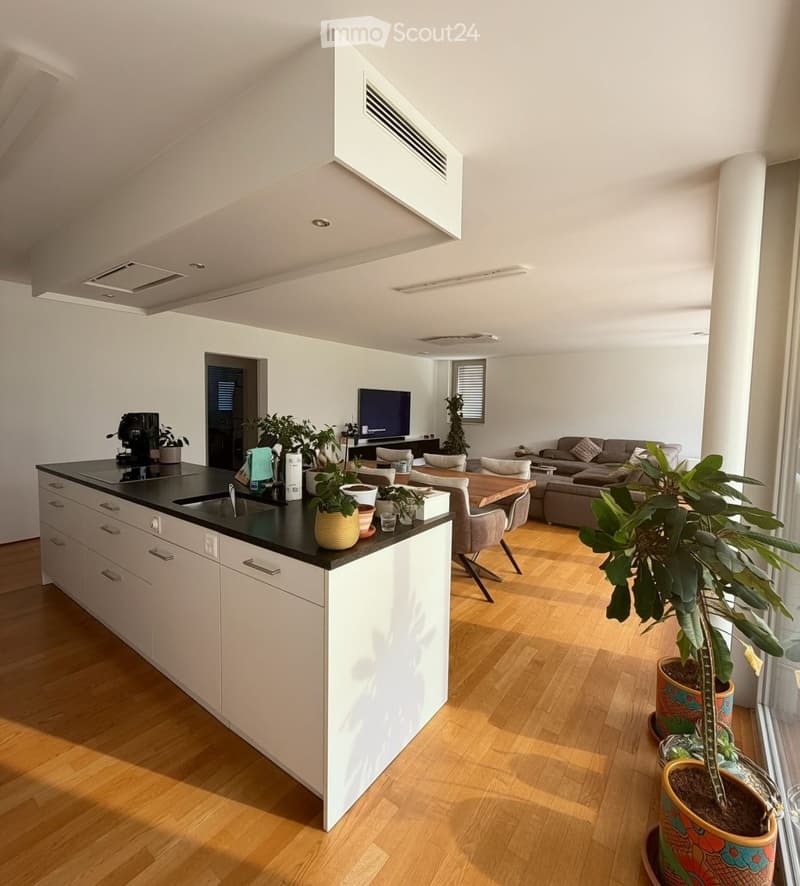 Open-plan living and kitchen area with light wood flooring, white cabinets, a black countertop, a sofa, a dining table, and several potted plants.