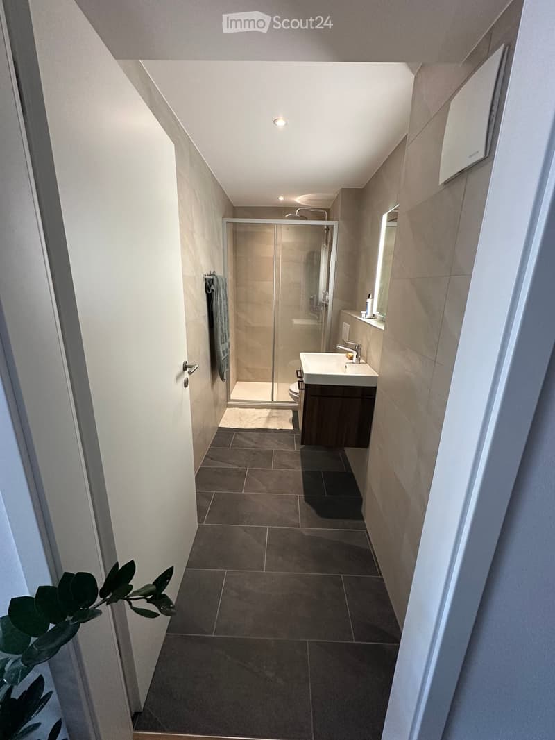 Modern bathroom with a glass-enclosed shower, a white sink with a modern faucet, a mirror, and a towel hanging on the wall. The floor is tiled in dark brown tiles, and the walls are clad in light beige tiles.