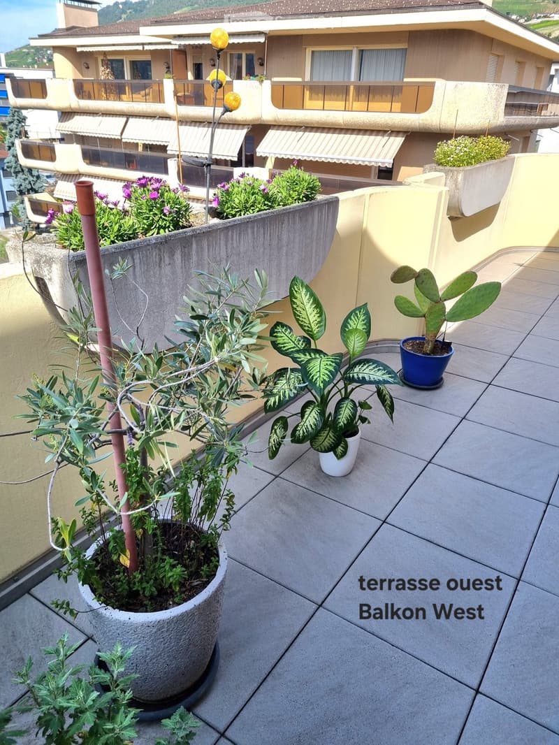 Balcony with tiled floor, several potted plants, and a view of the building and surroundings