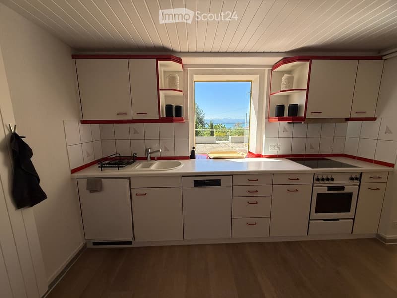 Modern kitchen with white cabinets, red trim, and a large window offering a scenic view. Features include a sink, oven, dishwasher, and countertop.