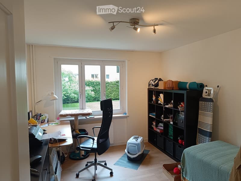 Well-lit room with a desk, chair, cat tree, bookshelf, and cat litter box. Large window with a view of greenery.