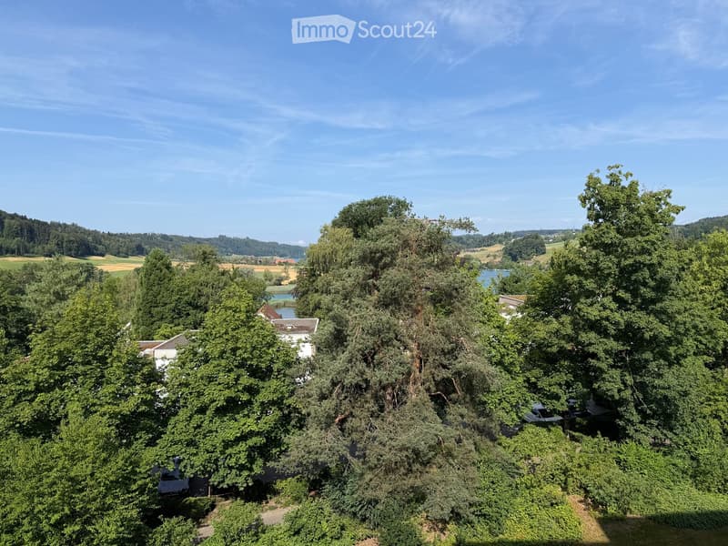 A lush garden area with dense trees and a view of a lake and surrounding countryside.