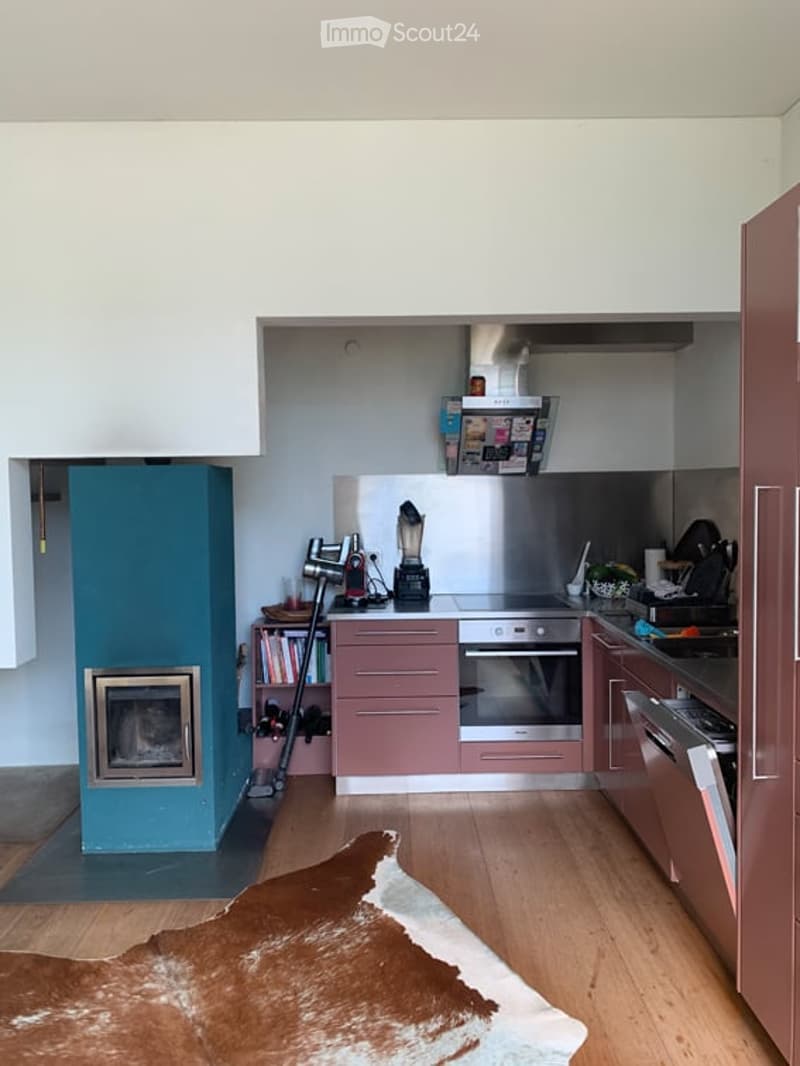 Modern kitchen with stainless steel appliances, pink cabinets, and a fireplace in the corner. Includes a blender, fridge, and a cowhide rug on the floor.