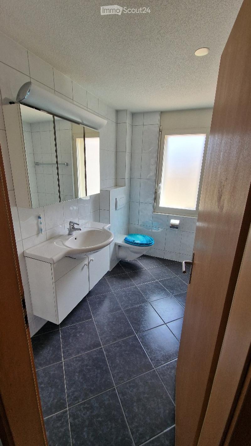 Modern bathroom with white tiles, dark tiled floor, a white sink with a mirror above, and a toilet with a blue seat cover.