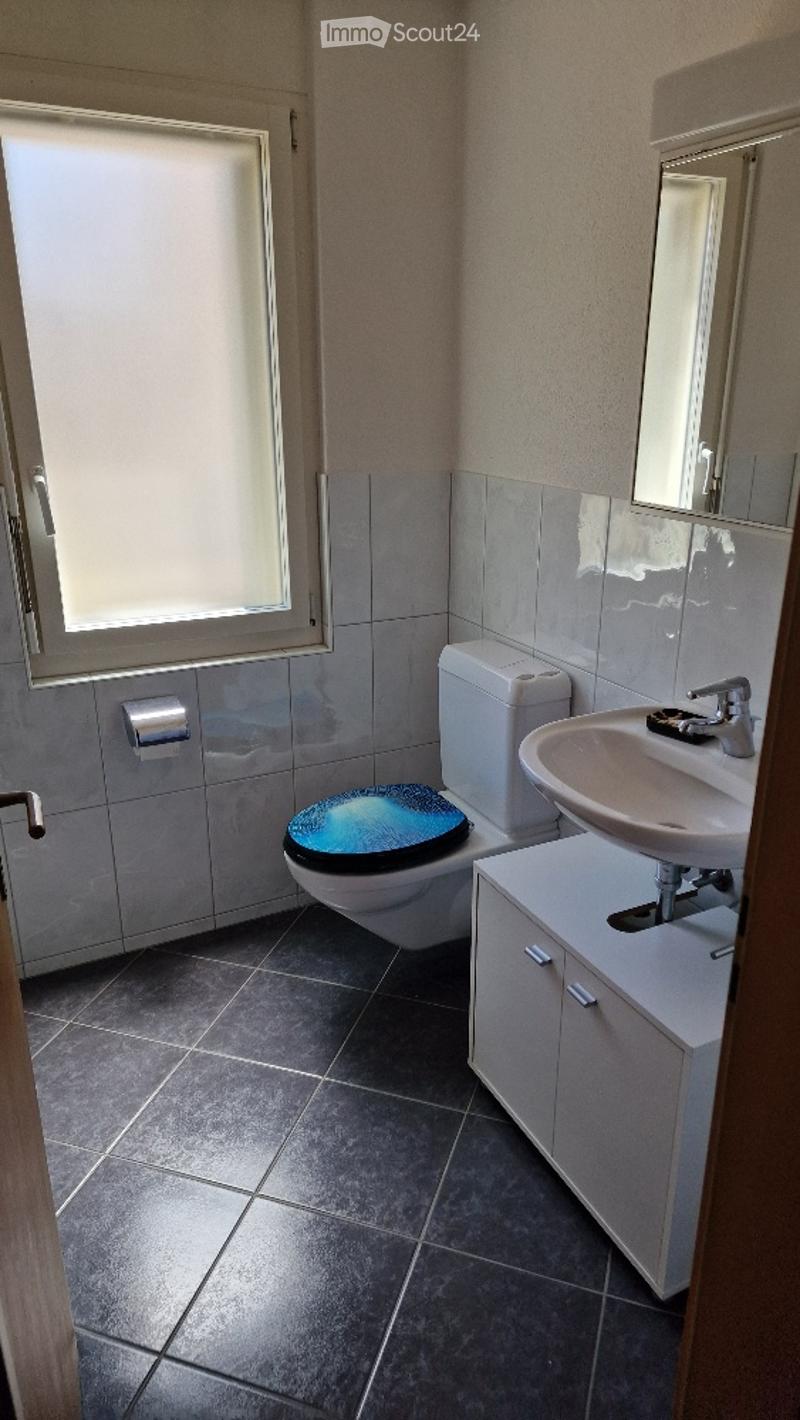 Modern bathroom with dark tiled floor, white walls, and grey tiles around the toilet area. Features a blue toilet seat cover, a white sink with a chrome faucet, a mirrored cabinet, and a window with blinds.