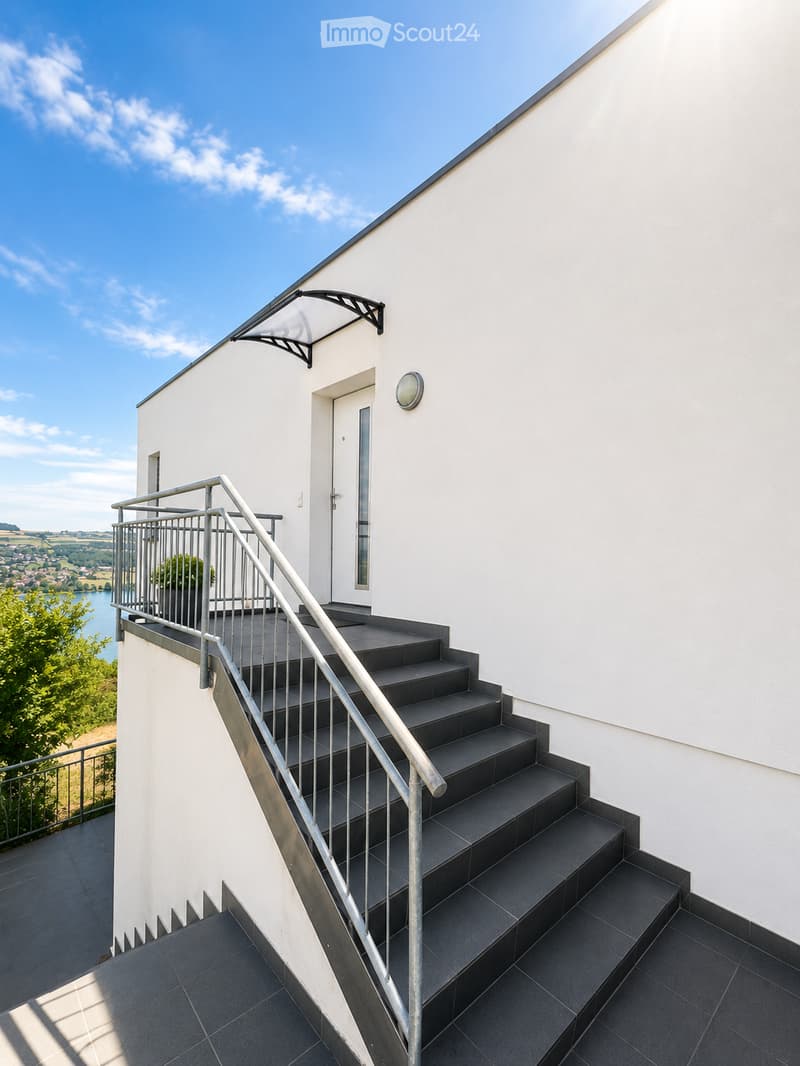 Modern balcony with black tiled steps leading up to a white building entrance, featuring a metal railing and a small potted plant on the left side.