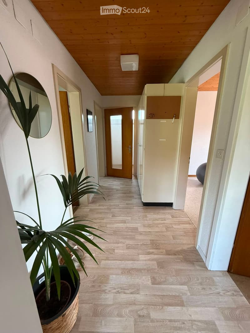 Clean, modern hallway with light wooden flooring, white walls, and several doors leading to different rooms. A large potted plant is visible on the left side.