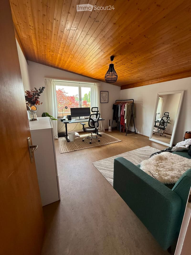 Bright, multi-functional room with a slanted wooden ceiling, large window, green sofa, desk with chair, mirror, and clothing rack.