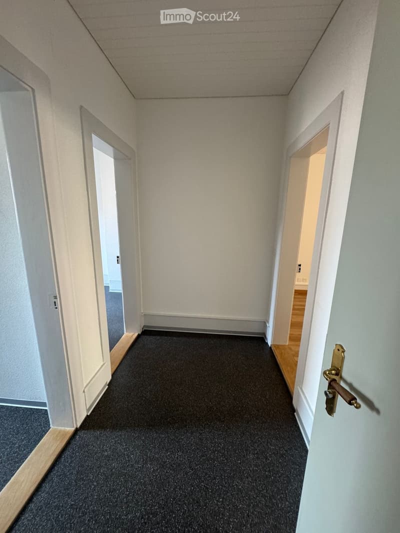A narrow hallway with grey carpeted flooring, white walls, and wooden baseboards. Doors on both sides lead to other rooms.