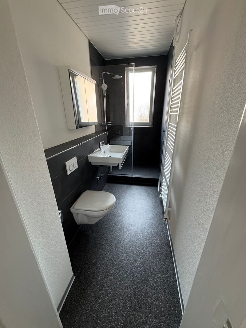 Modern bathroom with dark tiles, a toilet, a sink, a mirror, a shower, and a radiator. The space is compact with a window providing natural light.