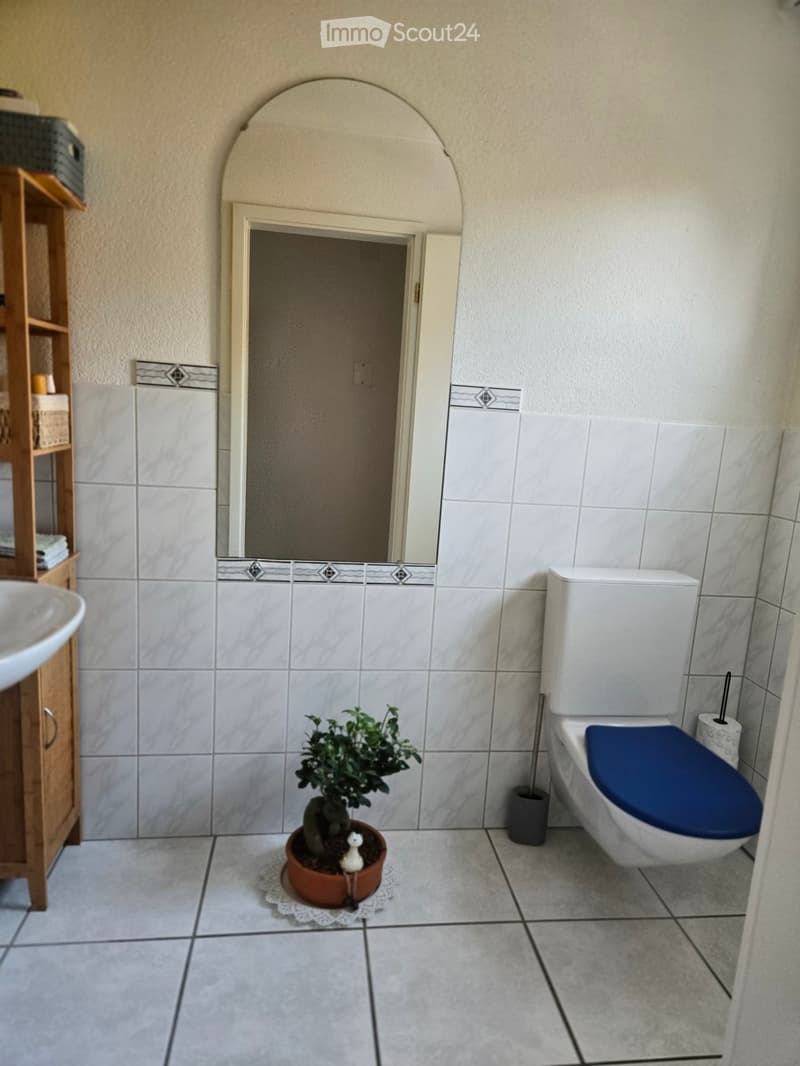 Bathroom with white tiles, a toilet with a blue seat, a sink, a small potted plant, and a toilet brush holder.