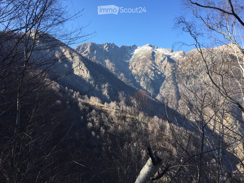 Mountain range with snow-capped peaks, surrounded by bare trees and rocky terrain.