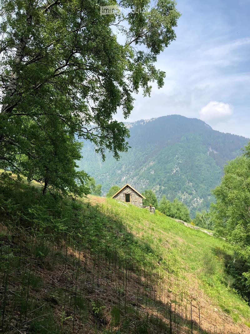 A small stone house sits on a grassy slope surrounded by lush green trees and a mountainous backdrop.