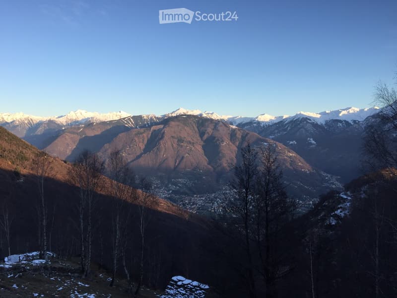 A panoramic view of a mountainous landscape with snow-capped peaks, a small town nestled in the valley, and bare trees in the foreground.