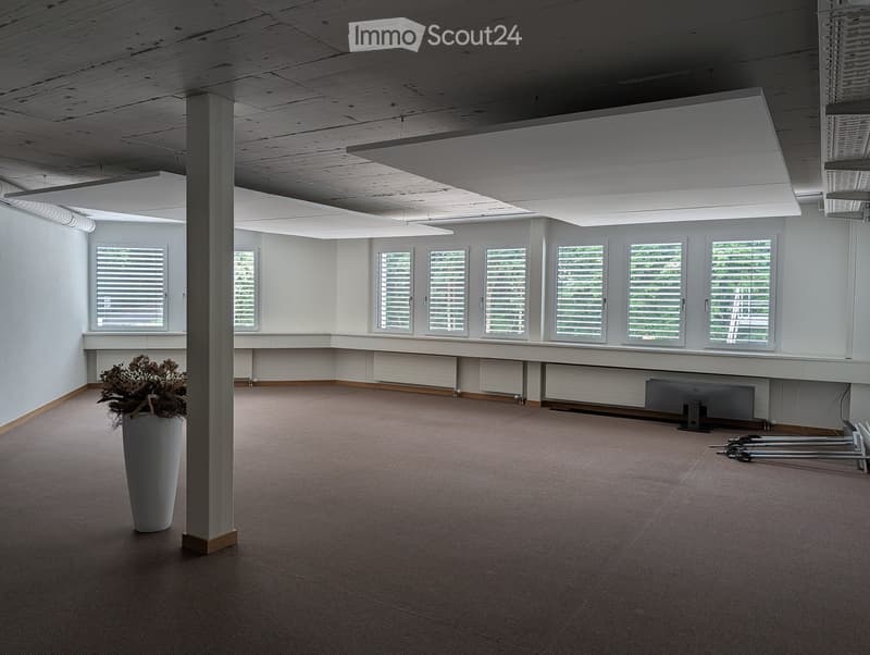 Empty room with carpeted floor, white walls, large windows with blinds, and a central column. A single potted plant is placed near the column.
