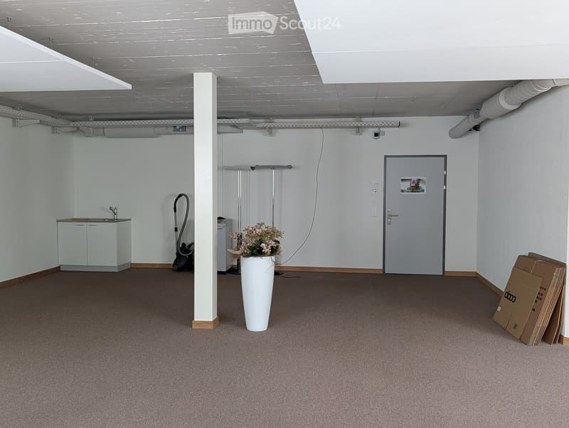Empty room with carpeted floor, white walls, a sink and cabinet, a large flower pot, a vacuum cleaner, and some cardboard boxes stacked against the wall.