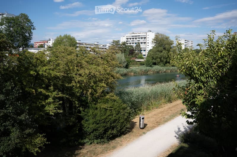 A serene park area with a pathway, trees, bushes, and a small body of water with reeds. In the background, there are residential buildings and a clear blue sky.