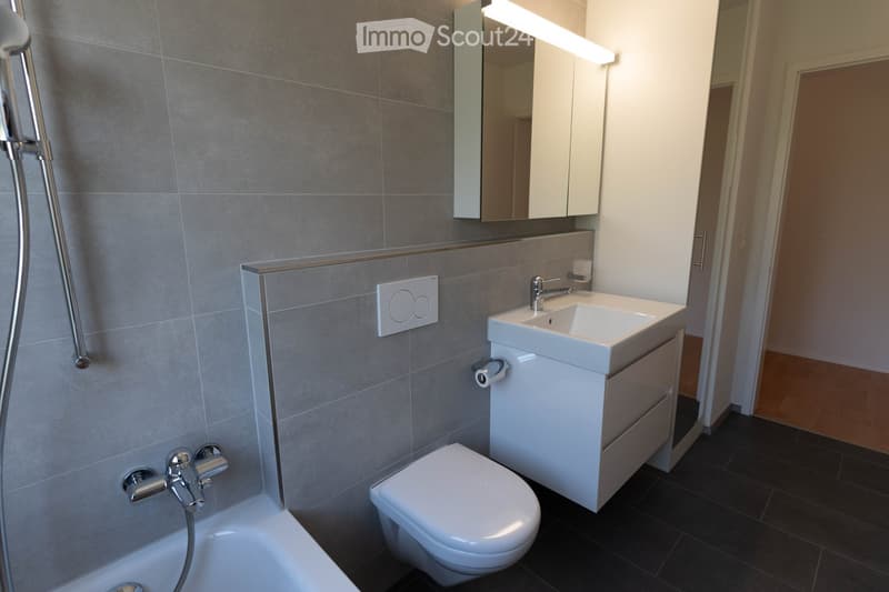 Modern bathroom with grey tiled walls, a white toilet, a white sink with a mirror cabinet, a bathtub, and a showerhead.