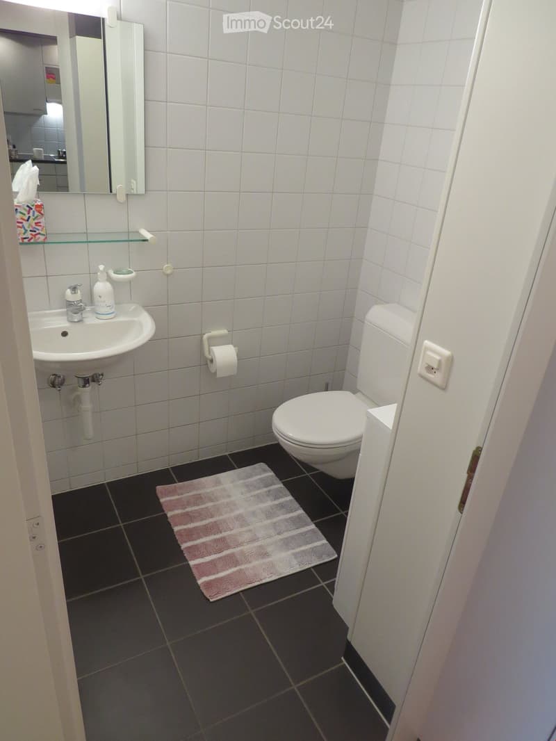 Modern bathroom with white tiles, black floor tiles, a toilet, a sink with a mirror, a towel, and a toilet paper holder.