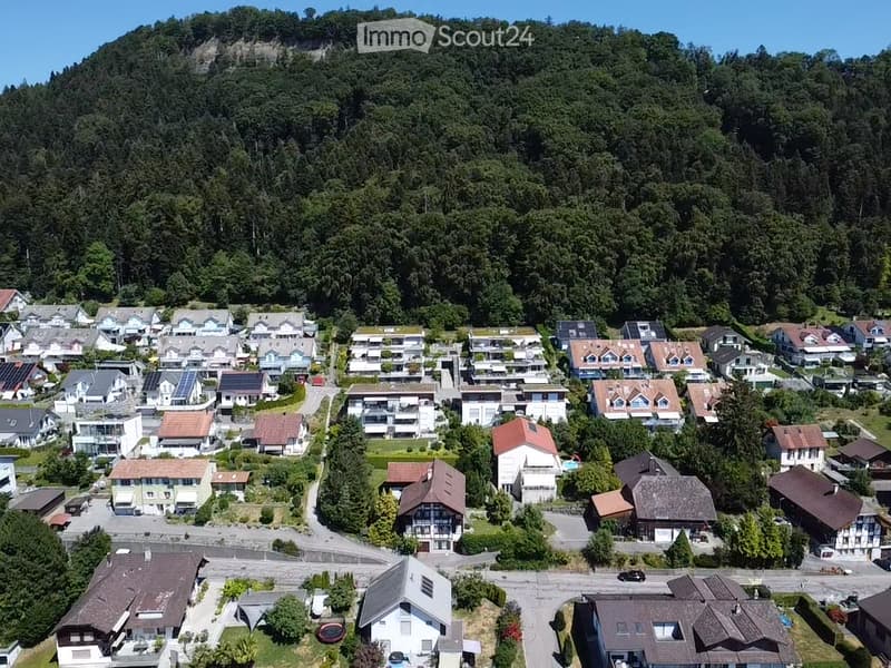 Aerial view of a residential neighborhood with multiple houses, surrounded by dense forest and a prominent hill in the background.