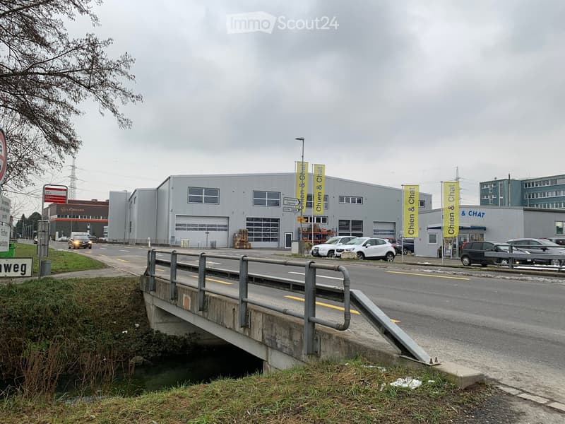 A modern industrial building with large garage doors, signage for 'Chien & Chat', and several parked cars in front.
