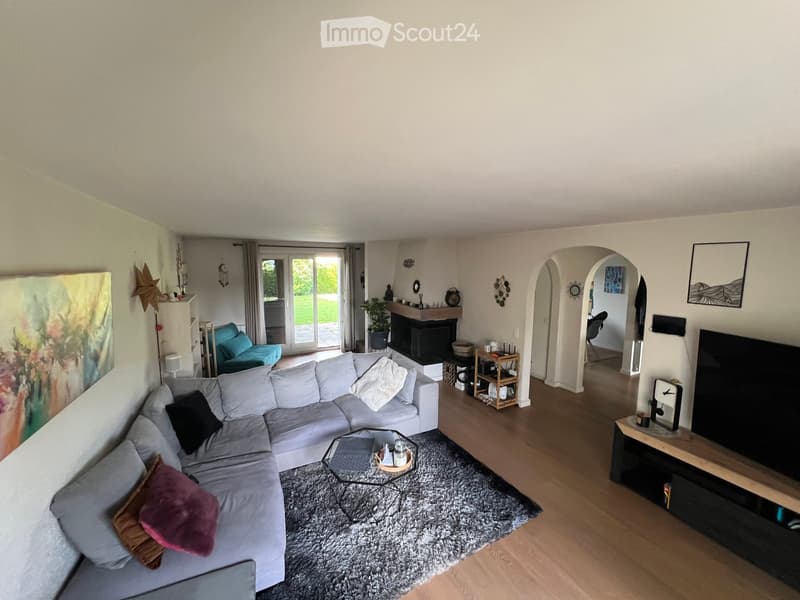 Modern living room with a grey sectional sofa, coffee table, fireplace, TV stand, and a small table with a plant. The room features wooden flooring, a large rug, and a view to a balcony or terrace through large glass doors.