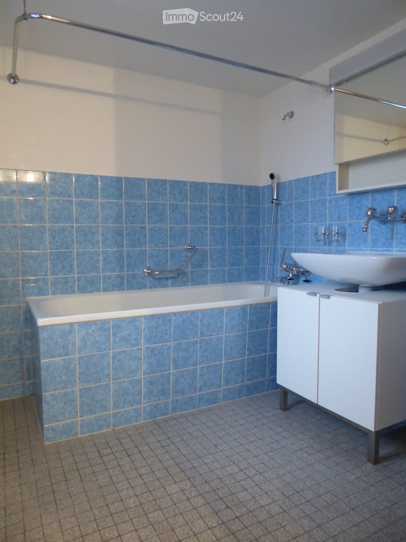 Bathroom with blue tiled walls, a white bathtub, a white sink with a cabinet, and a shower area with a handheld showerhead.