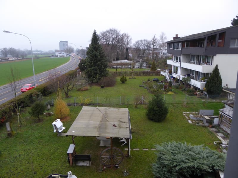 Garden area with a covered patio, wheelbarrow, and various plants and trees. A multi-story building is visible in the background, along with a road and distant landscape.
