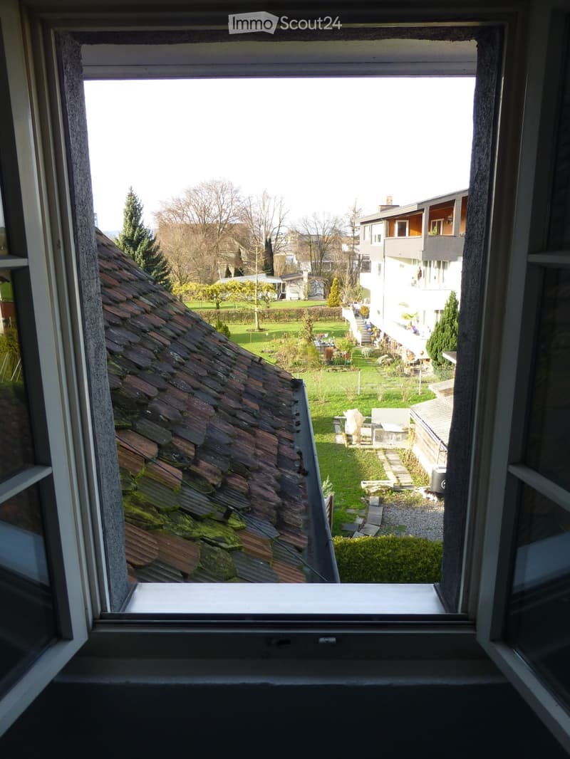 View from a window showing a garden area with a roof, lawn, trees, and neighboring buildings.