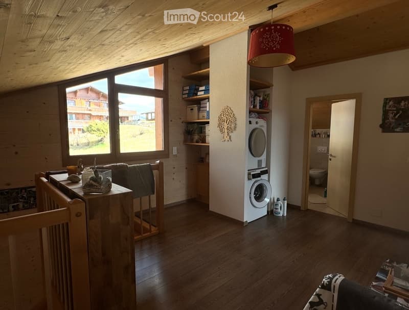 wooden floor, wooden ceiling, large window, washing machine, dishwasher, wooden shelves, wooden railing