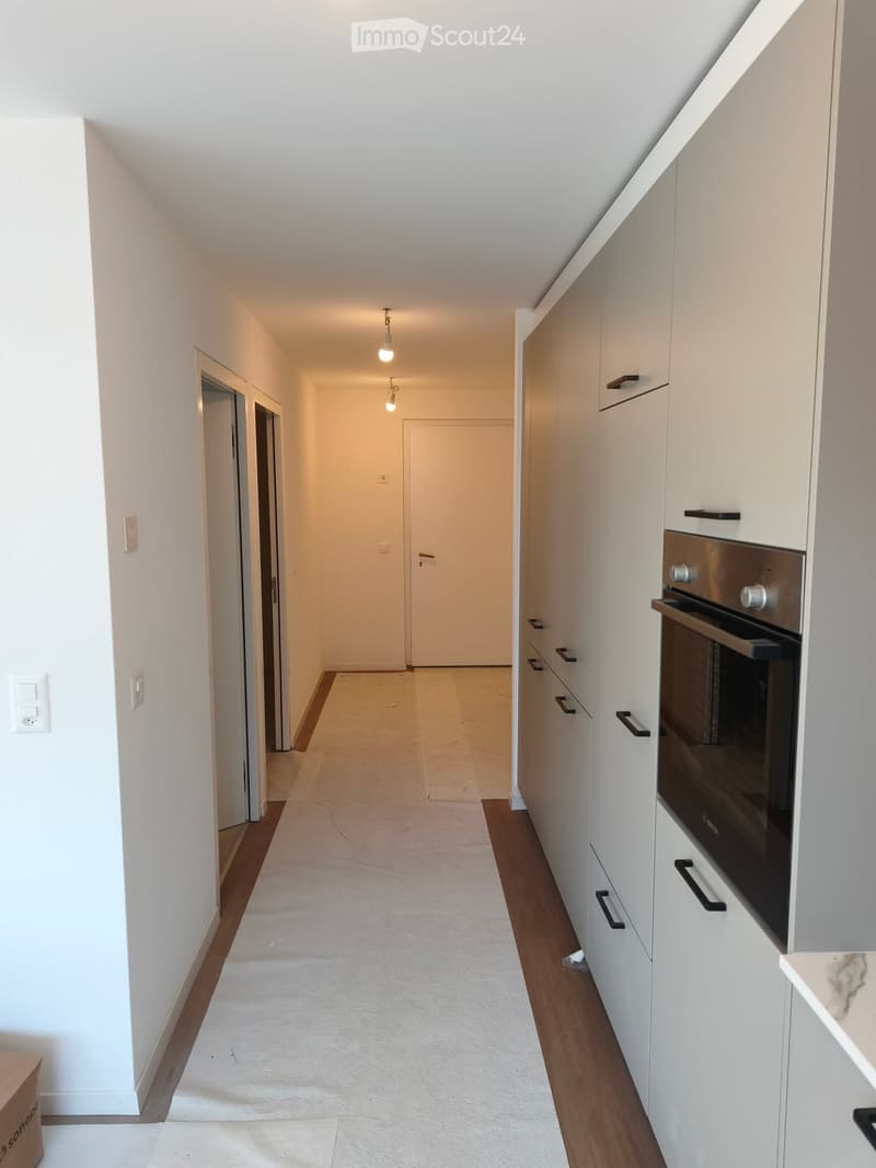 A narrow hallway with white walls, light-colored carpet, and wooden baseboards. A door is visible at the end, and a built-in cabinet with an oven is on the right side.