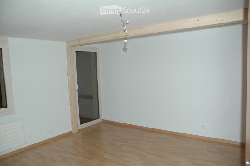 Empty room with light wooden flooring, white walls, and a single light fixture hanging from the ceiling. A glass door leads to another space.