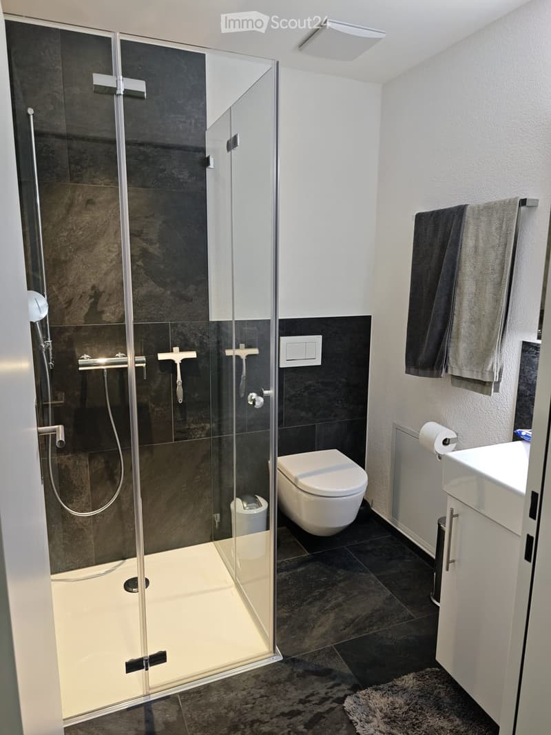 Modern bathroom with a glass-enclosed shower, toilet, sink, and towels on a rack.