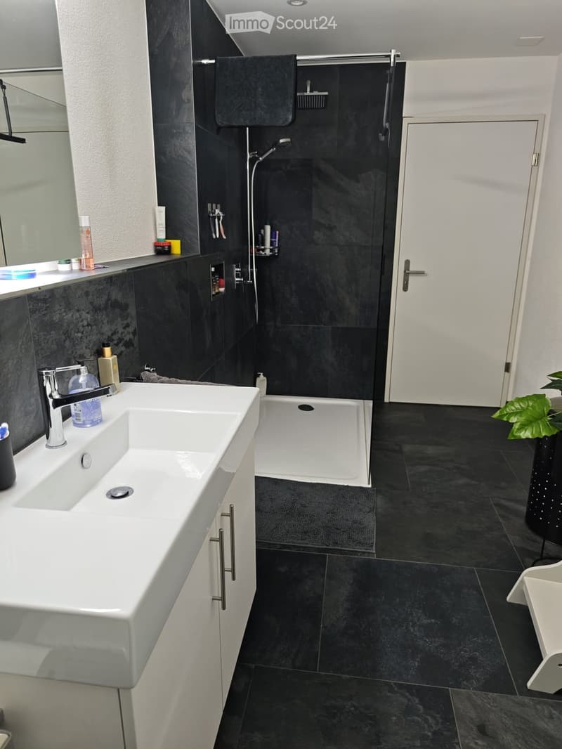 Modern bathroom with a white sink, chrome faucet, black tiled walls and floor, bathtub, and a small plant in the corner.