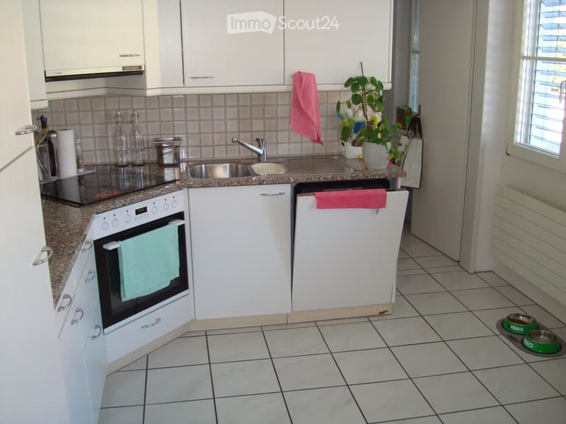 Modern kitchen with white cabinets, granite countertops, stainless steel sink, oven, and dishwasher. Includes a potted plant and dog bowls on the floor.