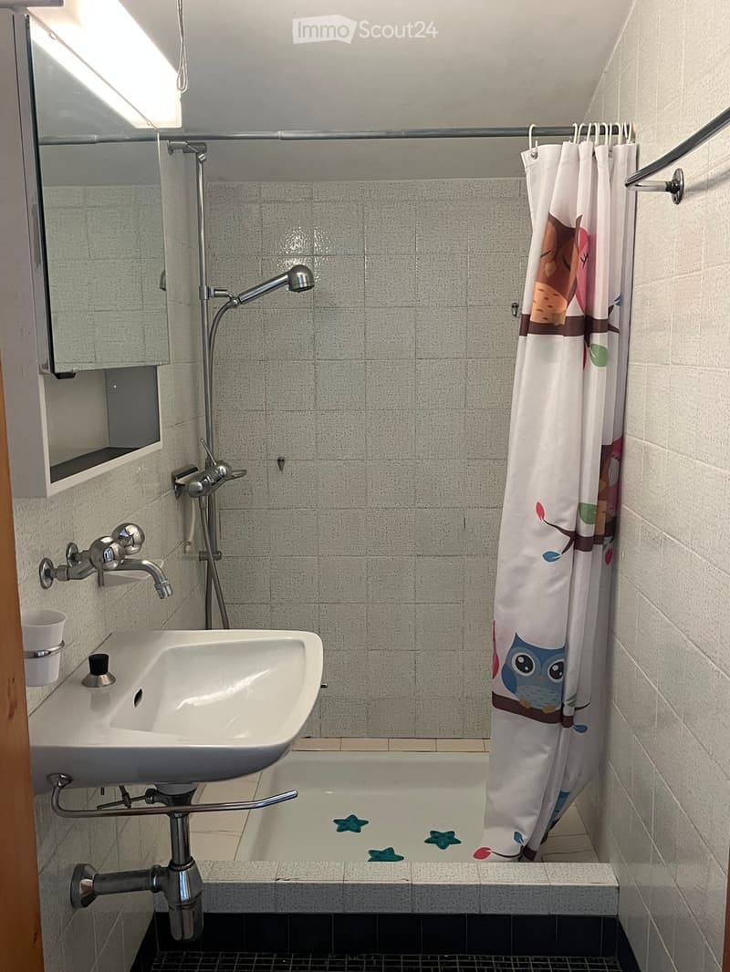 Bathroom with a white sink, bathtub with star-shaped decorations, shower curtain with owl design, and a mirror above the sink.