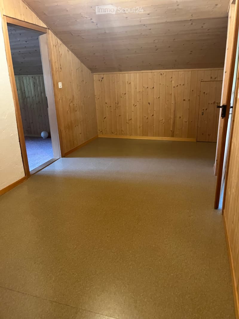Empty hallway with wooden panel walls, carpeted floor, and a visible light switch. A small blue ball is visible in the adjacent room.
