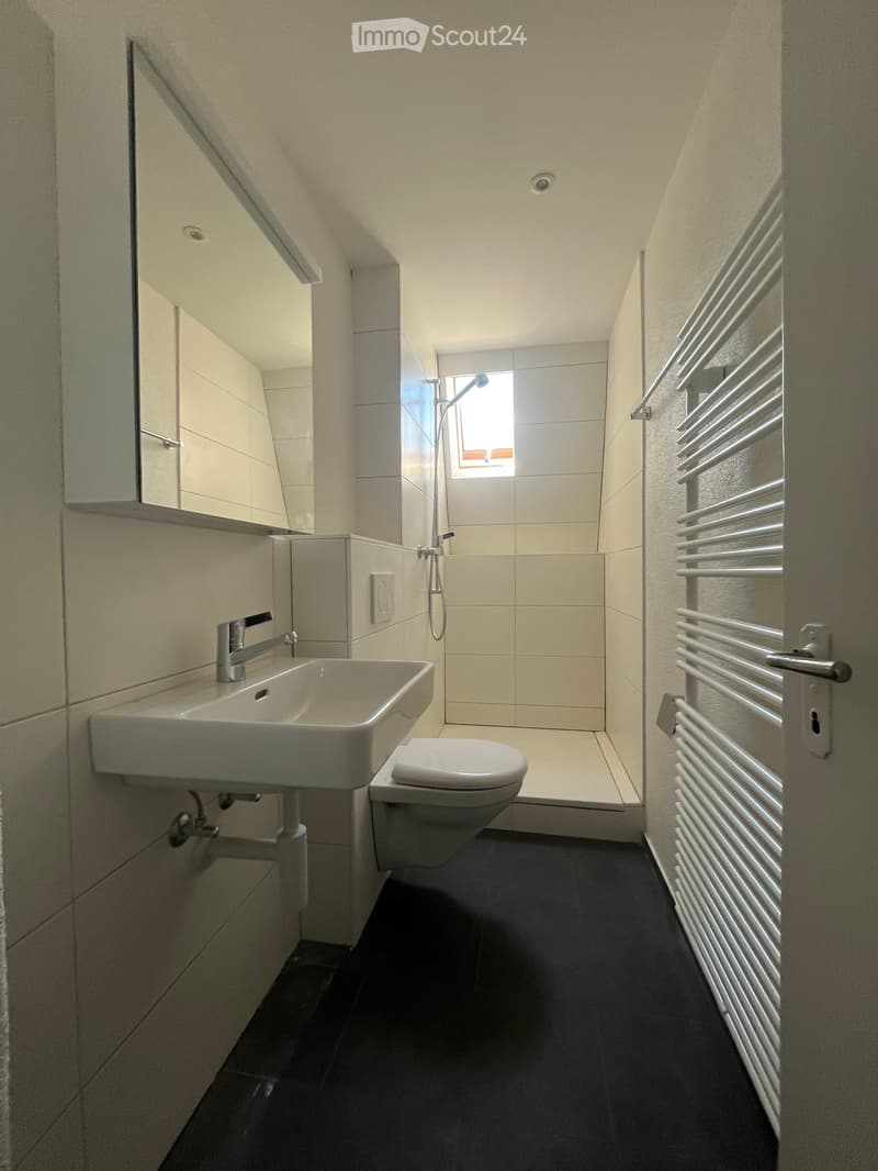 Modern bathroom with a white sink, chrome faucet, toilet, radiator, mirror, and a small shower area with a window above it.