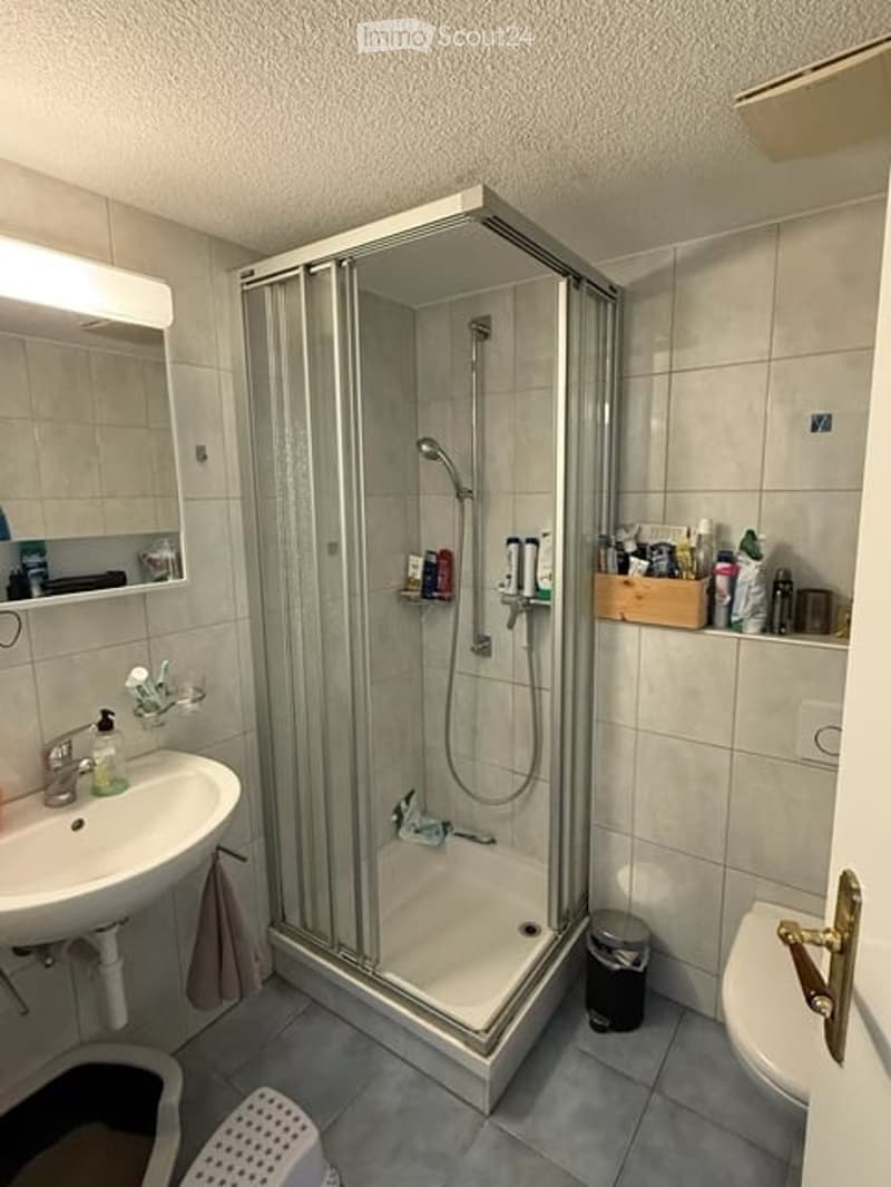 Modern bathroom with a glass-enclosed shower stall, a white sink with a mirror above it, a toilet, and various toiletries neatly arranged on shelves and the sink counter.