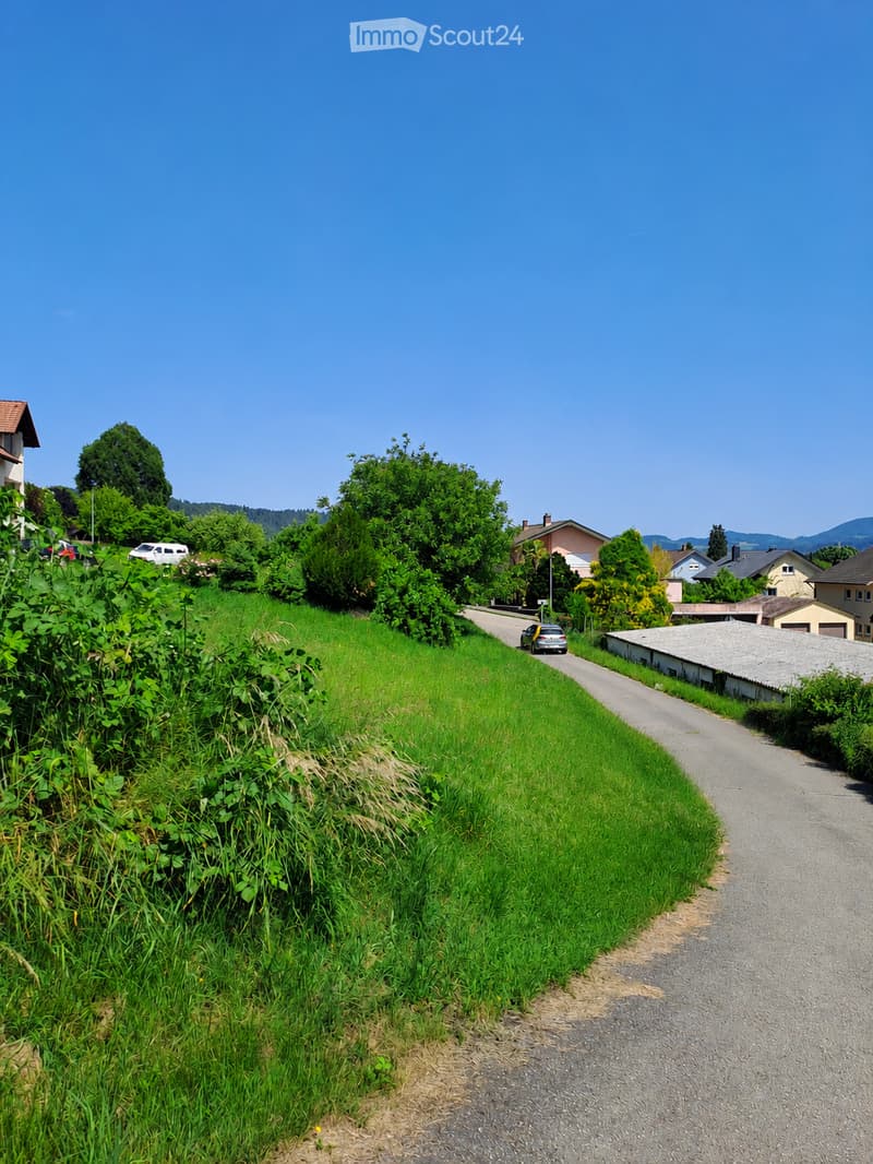 A rural road surrounded by green grass and trees, with houses and parked cars visible in the background.