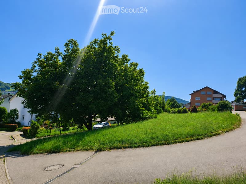 Residential area with houses, green lawn, trees, and a parked car.