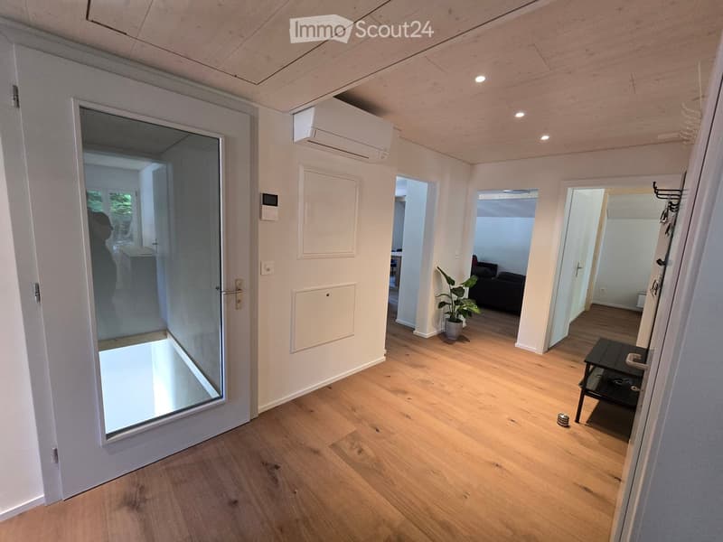 Bright hallway with wooden flooring, white walls, and several doors leading to different rooms. Features an air conditioning unit, a small plant, and a coat rack.