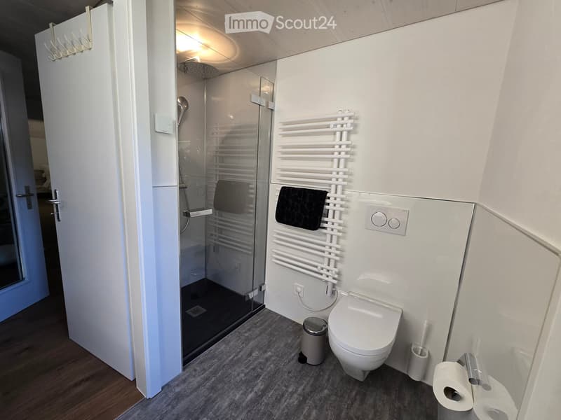 Modern bathroom with a glass-enclosed shower, white toilet, towel rack, and a small trash can. The floor is carpeted, and the walls are white.