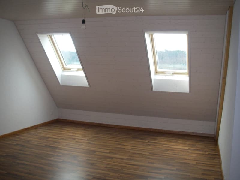 Empty attic room with wooden flooring, white walls, and two skylights providing natural light.